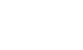 logo-salewa.png